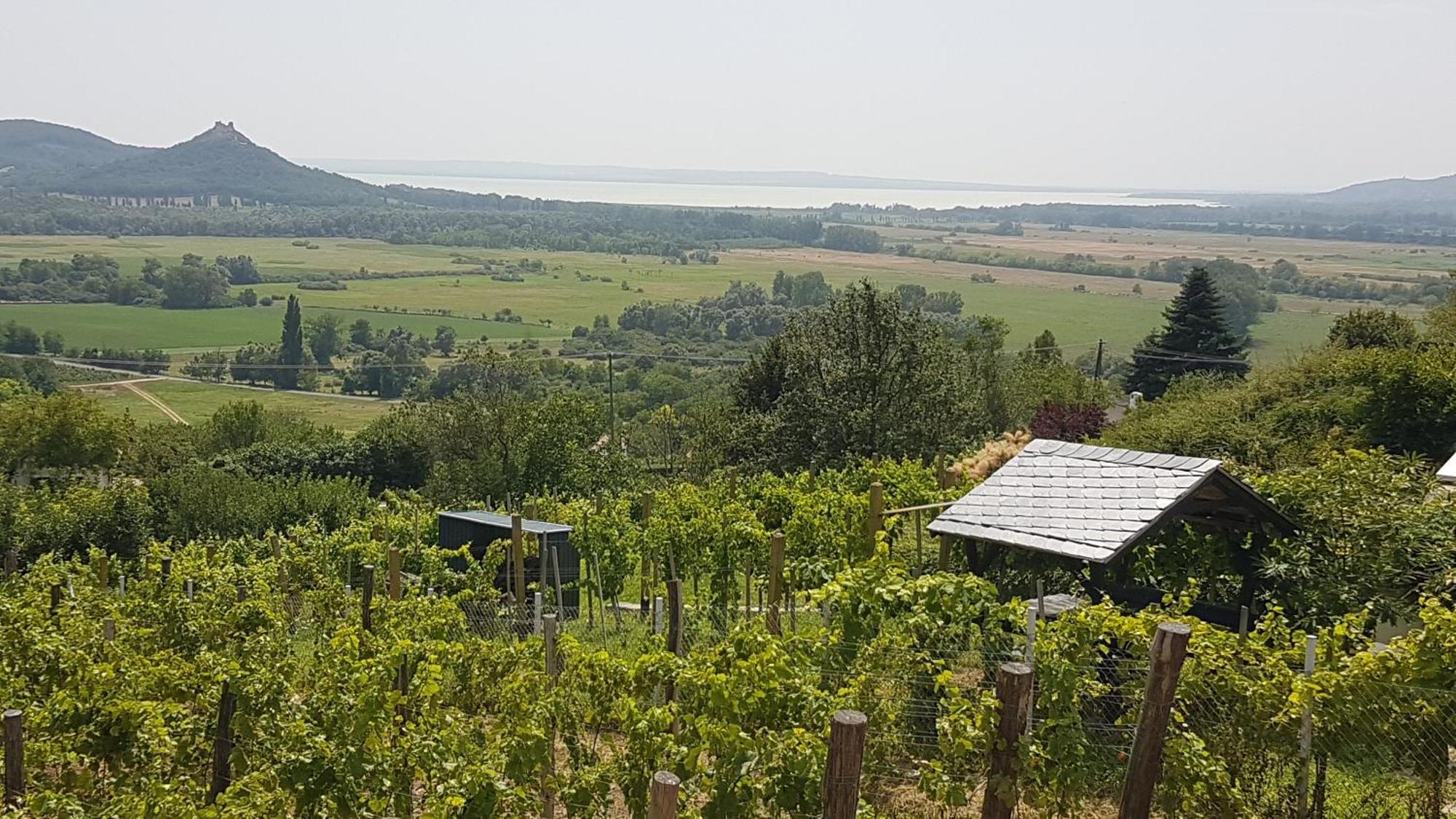 Grand Cru Vendégház Hegymagas Exterior foto
